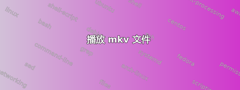 播放 mkv 文件