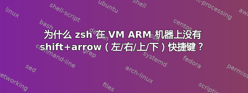 为什么 zsh 在 VM ARM 机器上没有 shift+arrow（左/右/上/下）快捷键？