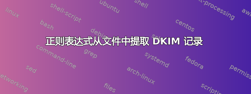 正则表达式从文件中提取 DKIM 记录