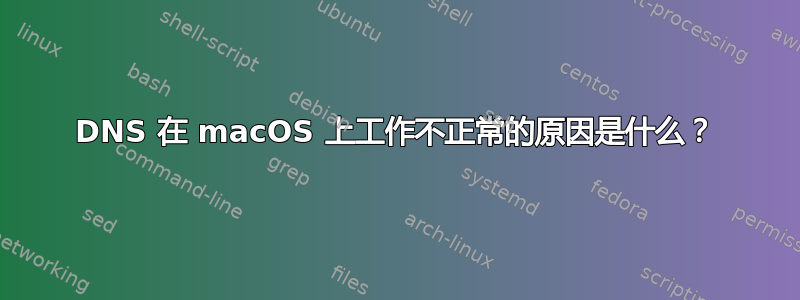 DNS 在 macOS 上工作不正常的原因是什么？