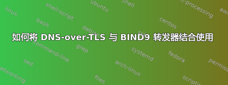 如何将 DNS-over-TLS 与 BIND9 转发器结合使用