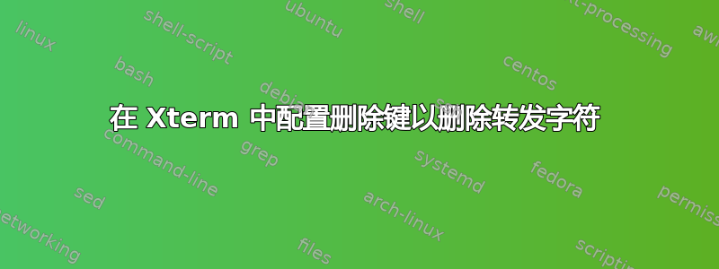 在 Xterm 中配置删除键以删除转发字符