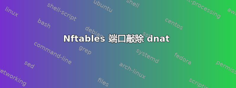 Nftables 端口敲除 dnat