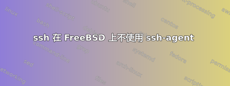 ssh 在 FreeBSD 上不使用 ssh-agent