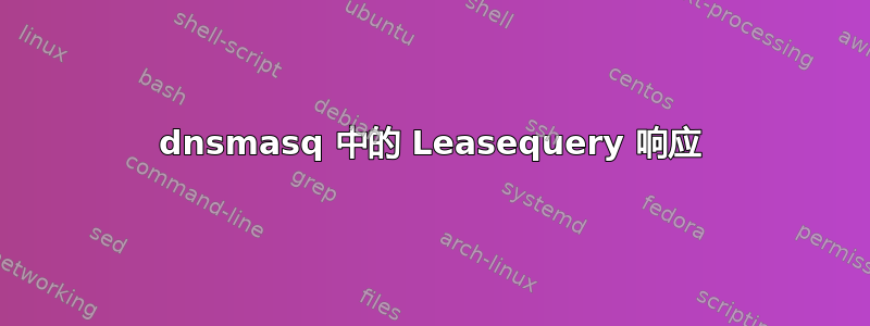 dnsmasq 中的 Leasequery 响应