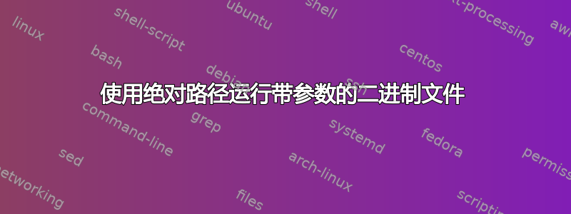 使用绝对路径运行带参数的二进制文件