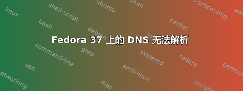 Fedora 37 上的 DNS 无法解析