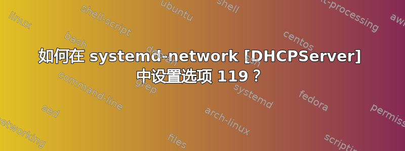 如何在 systemd-network [DHCPServer] 中设置选项 119？