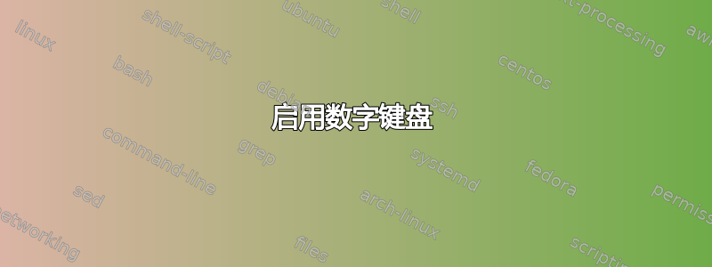 启用数字键盘