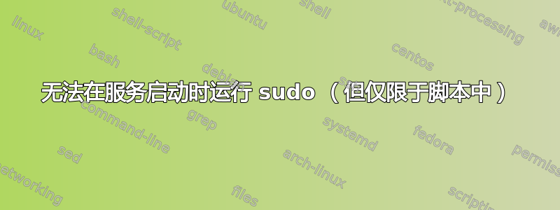 无法在服务启动时运行 sudo （但仅限于脚本中）