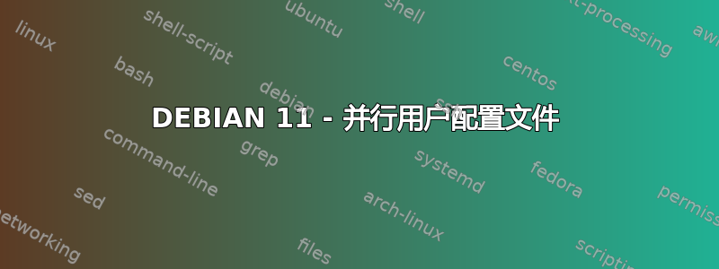 DEBIAN 11 - 并行用户配置文件