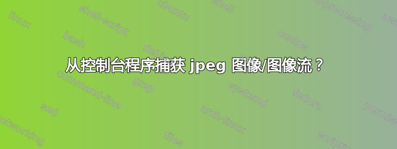 从控制台程序捕获 jpeg 图像/图像流？