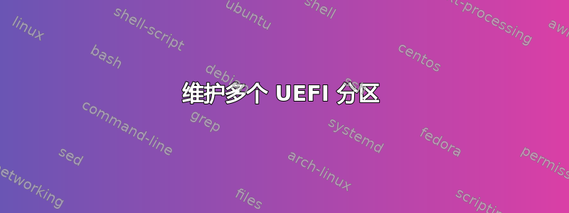 维护多个 UEFI 分区