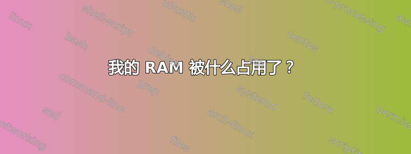 我的 RAM 被什么占用了？