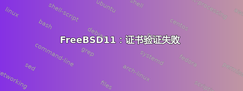 FreeBSD11：证书验证失败