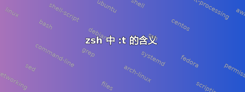 zsh 中 :t 的含义