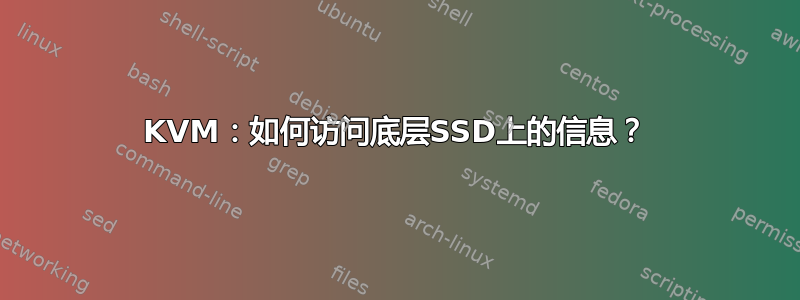 KVM：如何访问底层SSD上的信息？