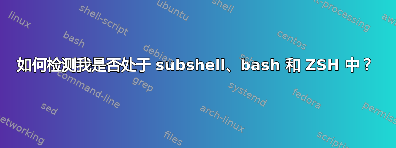 如何检测我是否处于 subshel​​l、bash 和 ZSH 中？