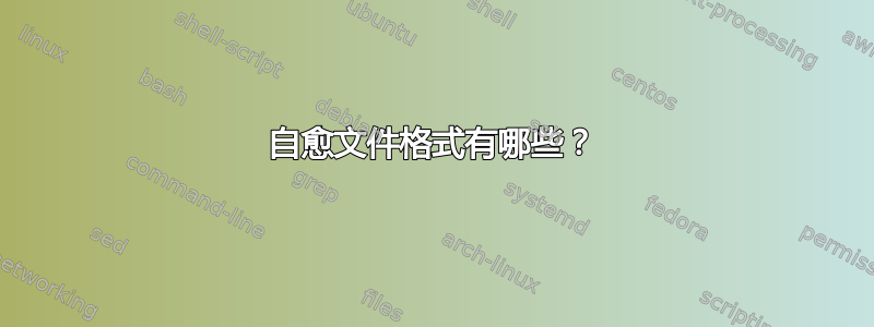 自愈文件格式有哪些？