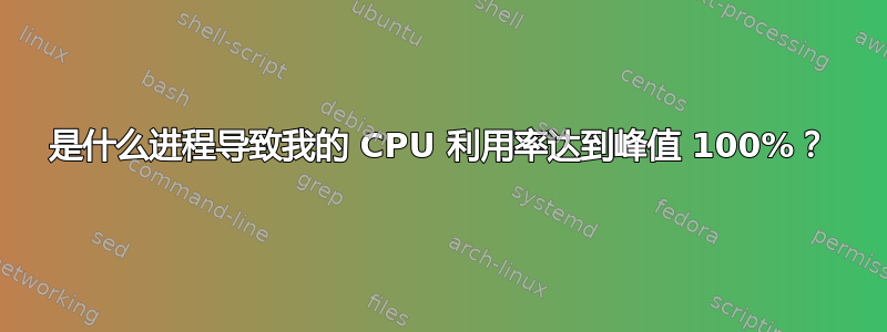 是什么进程导致我的 CPU 利用率达到峰值 100%？