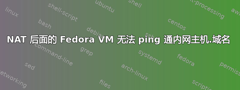 NAT 后面的 Fedora VM 无法 ping 通内网主机.域名