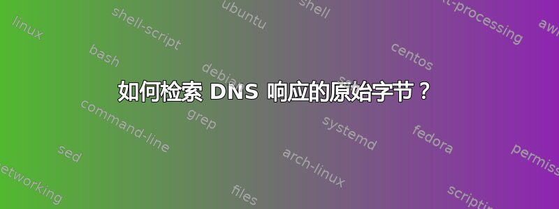 如何检索 DNS 响应的原始字节？