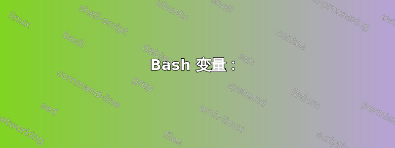 Bash 变量：