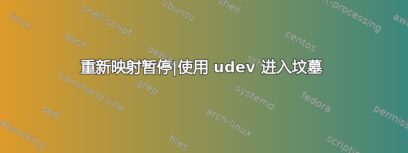 重新映射暂停|使用 udev 进入坟墓