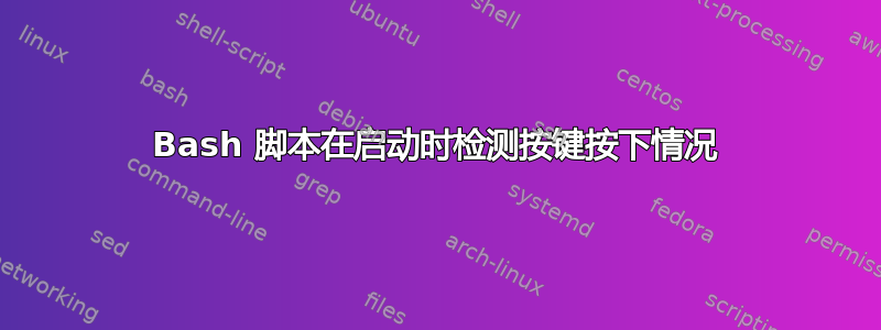 Bash 脚本在启动时检测按键按下情况