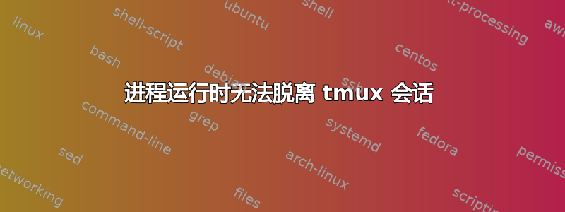 进程运行时无法脱离 tmux 会话