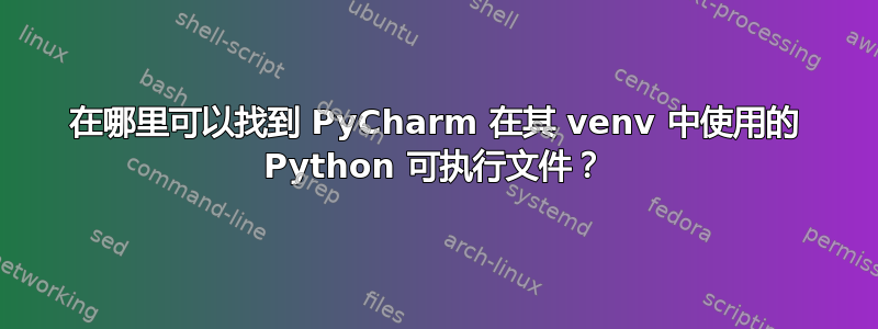 在哪里可以找到 PyCharm 在其 venv 中使用的 Python 可执行文件？