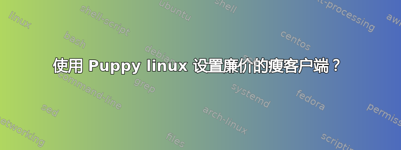 使用 Puppy linux 设置廉价的瘦客户端？