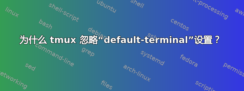 为什么 tmux 忽略“default-terminal”设置？