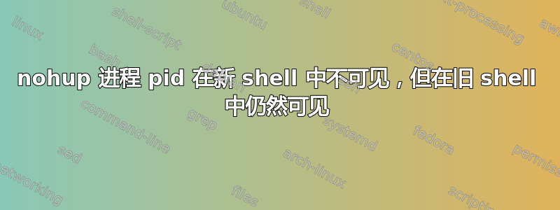 nohup 进程 pid 在新 shell 中不可见，但在旧 shell 中仍然可见