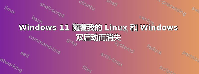 Windows 11 随着我的 Linux 和 Windows 双启动而消失