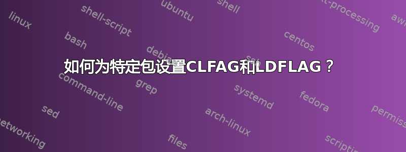 如何为特定包设置CLFAG和LDFLAG？