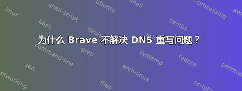 为什么 Brave 不解决 DNS 重写问题？