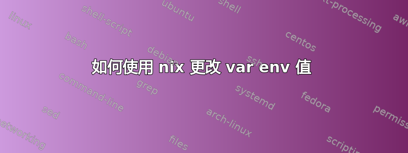 如何使用 nix 更改 var env 值