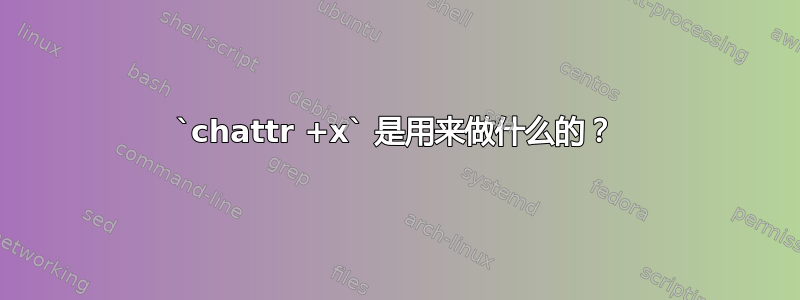 `chattr +x` 是用来做什么的？