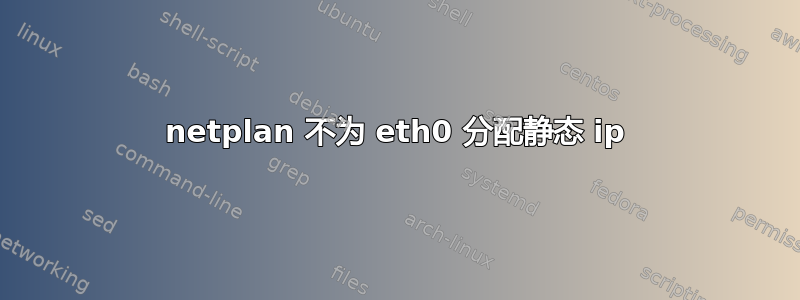 netplan 不为 eth0 分配静态 ip