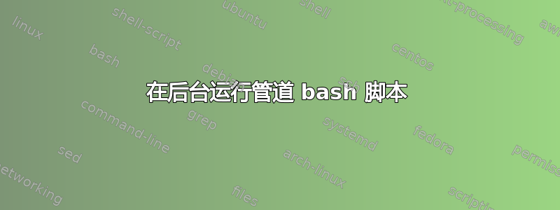 在后台运行管道 bash 脚本