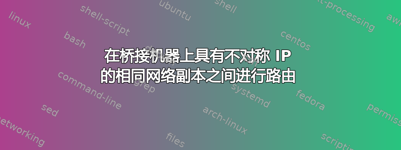 在桥接机器上具有不对称 IP 的相同网络副本之间进行路由