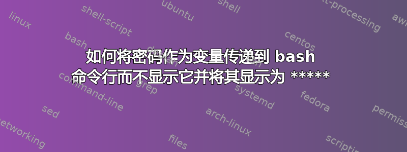 如何将密码作为变量传递到 bash 命令行而不显示它并将其显示为 *****