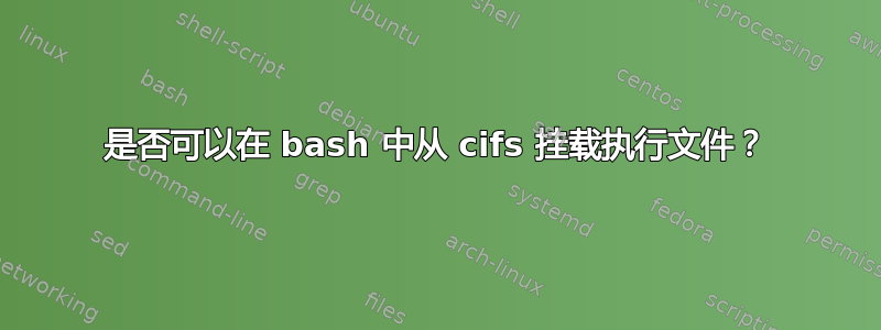 是否可以在 bash 中从 cifs 挂载执行文件？