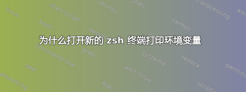 为什么打开新的 zsh 终端打印环境变量 