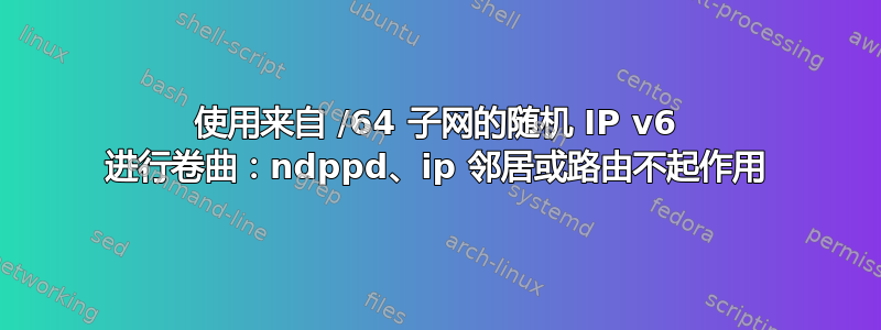 使用来自 /64 子网的随机 IP v6 进行卷曲：ndppd、ip 邻居或路由不起作用