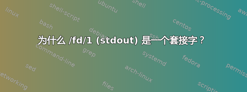 为什么 /fd/1 (stdout) 是一个套接字？
