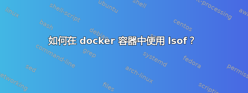 如何在 docker 容器中使用 lsof？