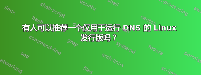 有人可以推荐一个仅用于运行 DNS 的 Linux 发行版吗？