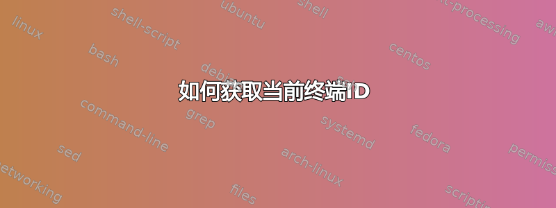 如何获取当前终端ID